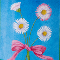 Zr��ov�n� sedmikr�sky